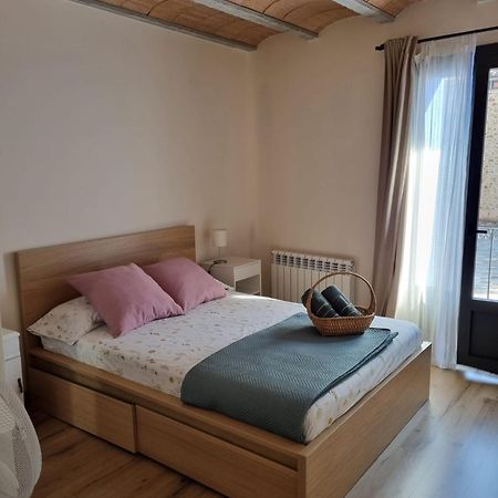 El Niu Dels Ocells Apartment Sant Joan de les Abadesses Luaran gambar