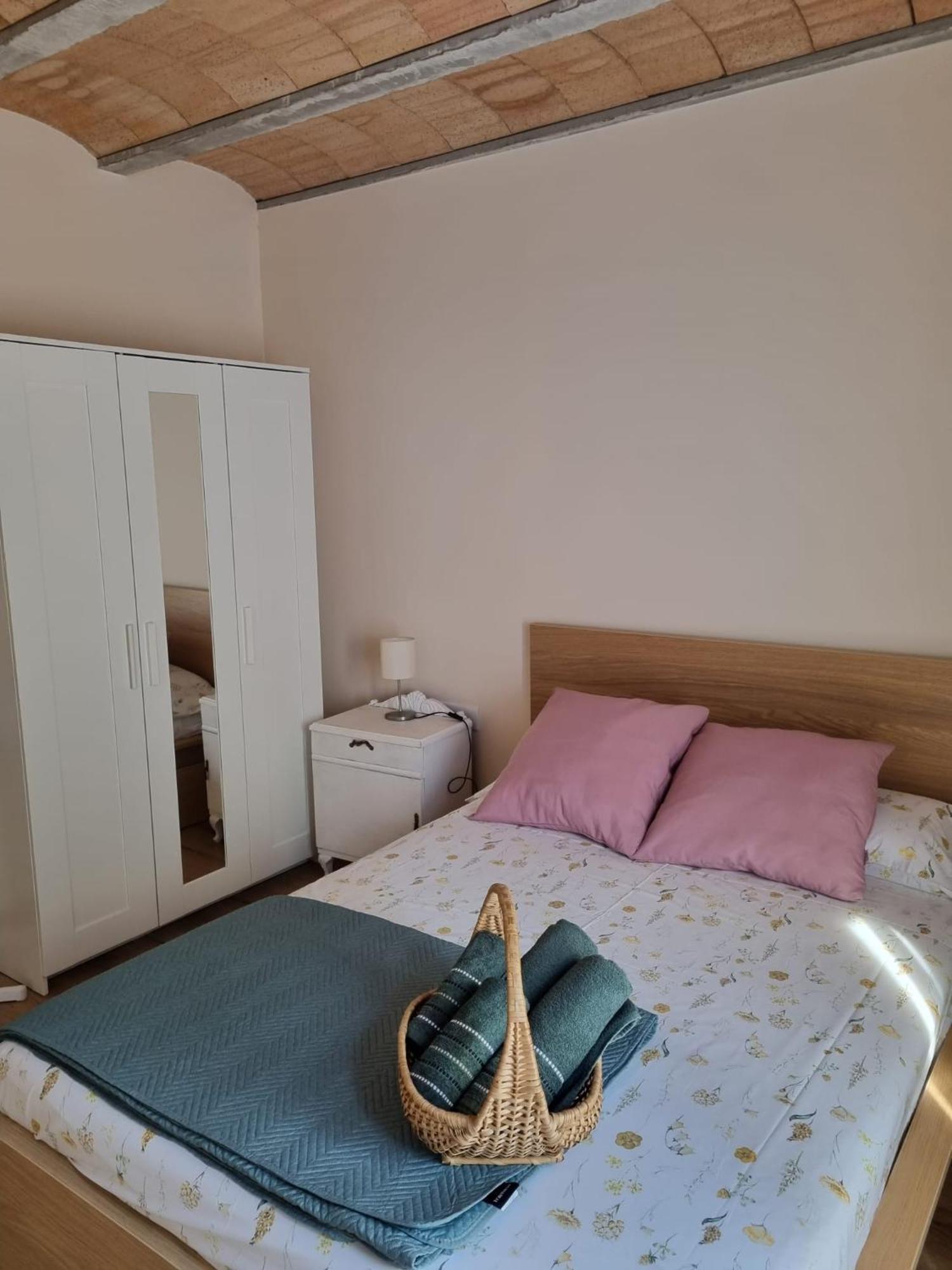 El Niu Dels Ocells Apartment Sant Joan de les Abadesses Luaran gambar