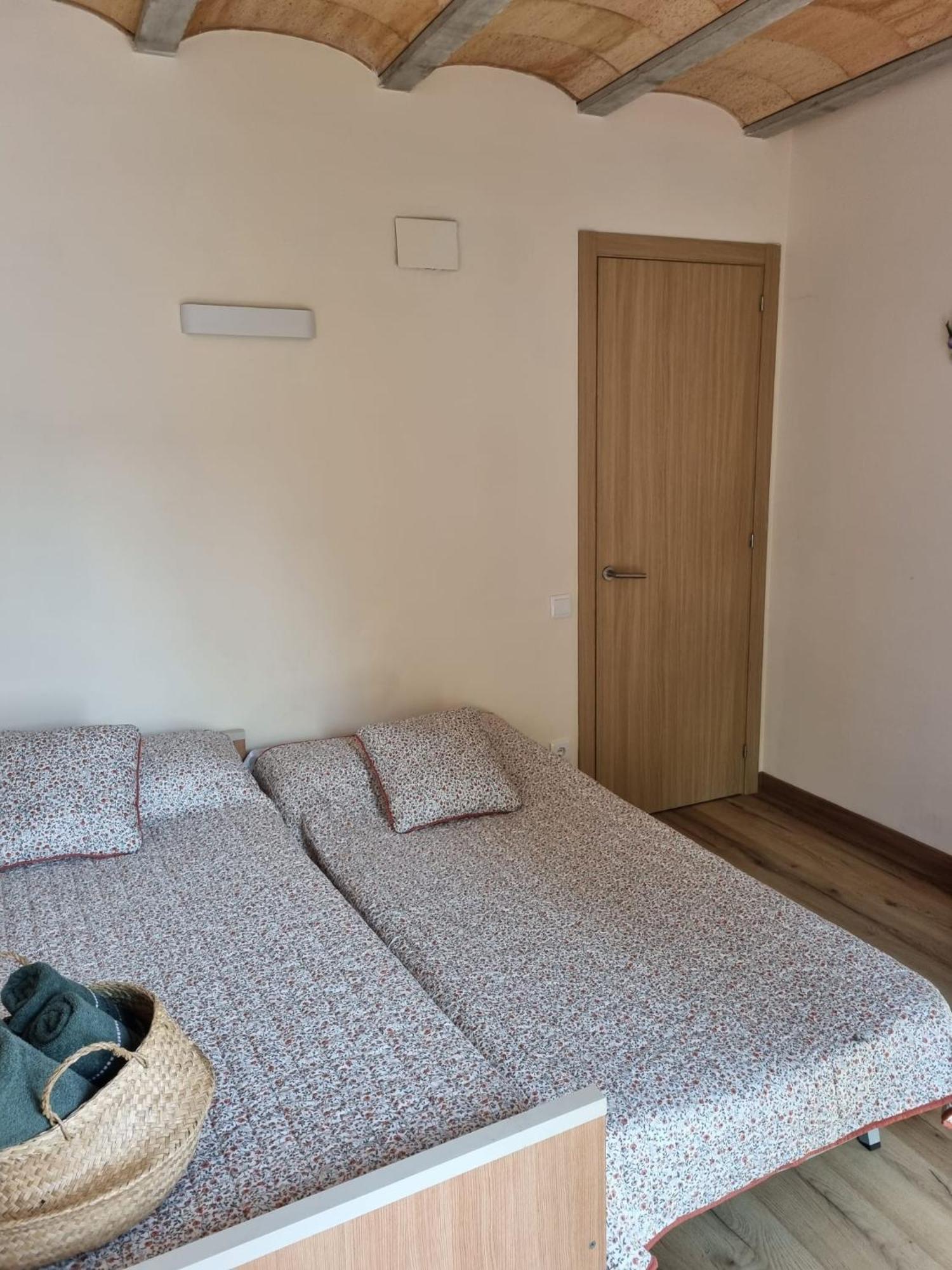 El Niu Dels Ocells Apartment Sant Joan de les Abadesses Luaran gambar